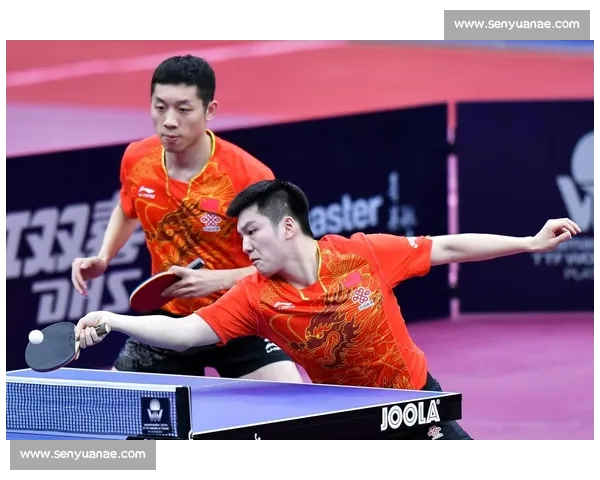 樊振东与 “人民艺术家” 许昕对练:球台三米外的乒乓美学碰撞